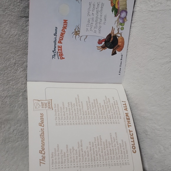 The Berenstain Bears and the Prize Pumpkin - Picture 3 of 4